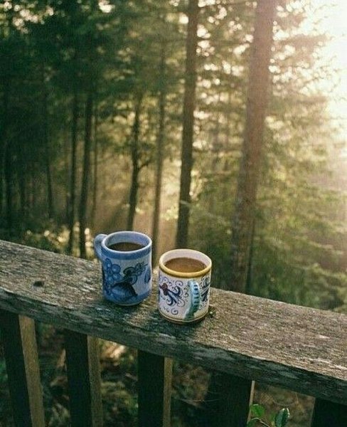Нежное утро в лесу на веранде с кофе