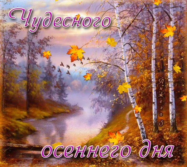 Доброе солнечное утро