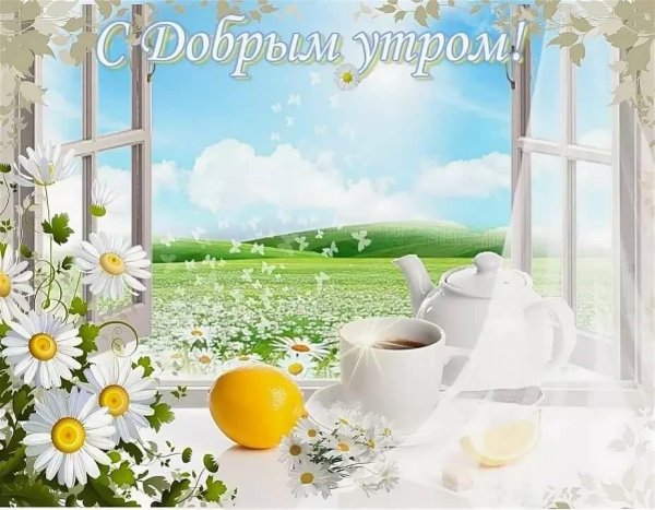 Прекрасного летнего утра удачи и