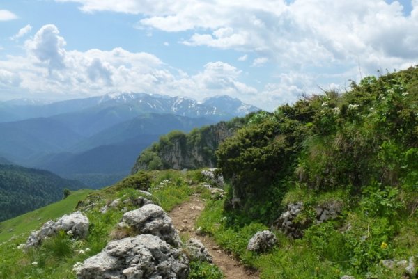Краснодарский край Горная Южная