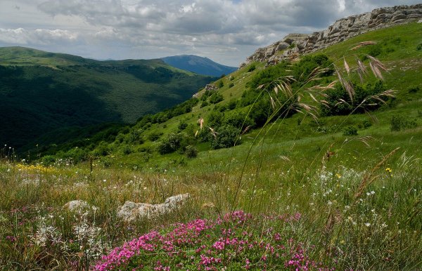 Горные степи Крыма