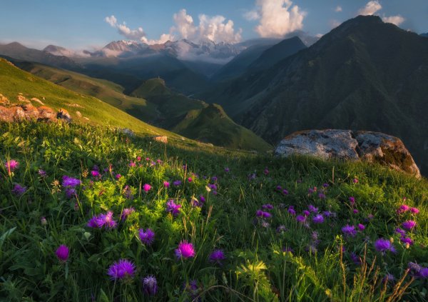 Северная Осетия горы Альпийские Луга