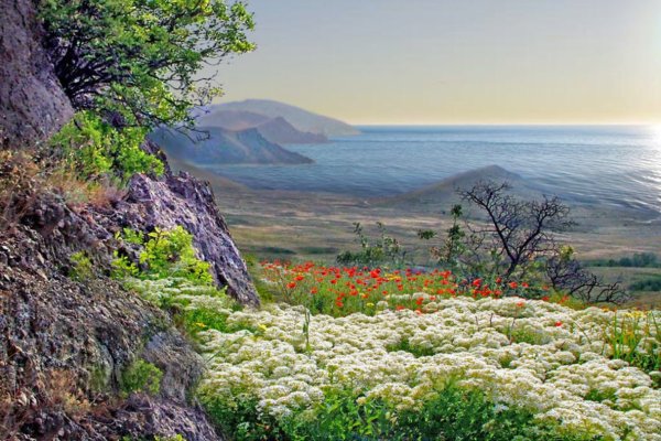 Природа Крыма холмы Крыма