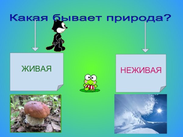 Игра третий лишний Живая и неживая природа