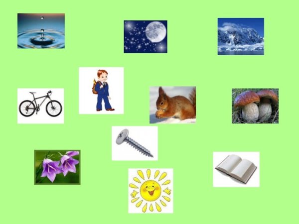 Предметы неживой природы