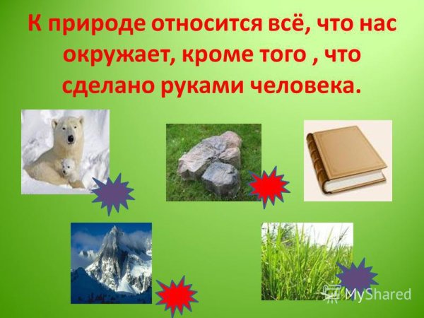 Живая и неживая природа для дошкольников