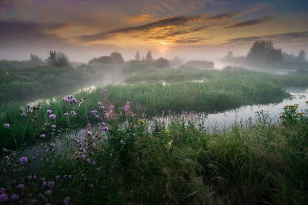 Утренняя природа