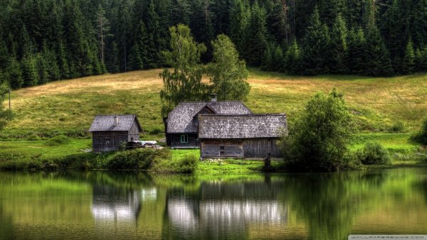 Дом в лесу красота