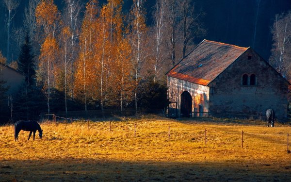 Сериал дом у реки (River Cottage)