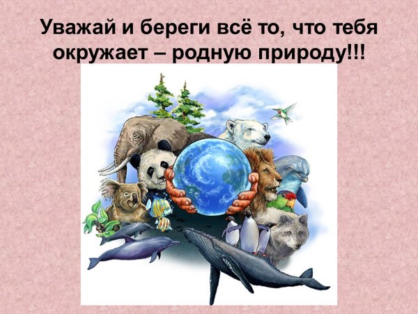 Берегите природу и животных