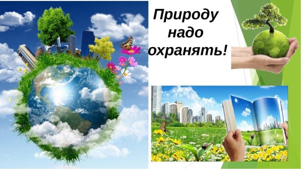 Охранять природу