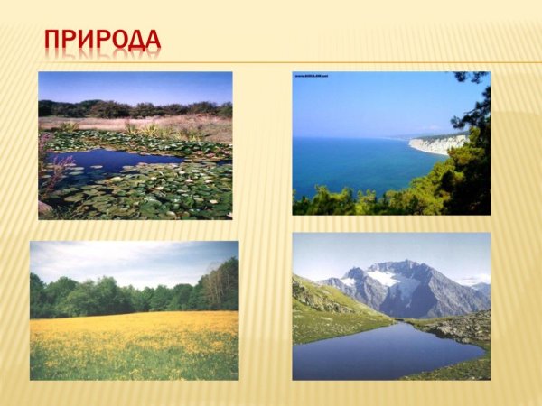Пейзажи Краснодарского края проект по кубановедению 3 класс