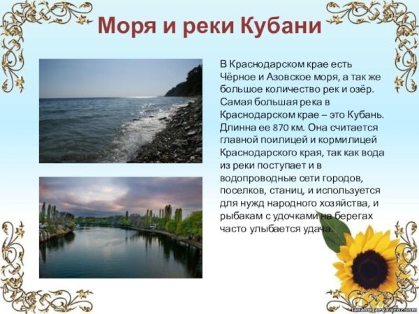 Проект мой родной край Краснодарский край Кубань