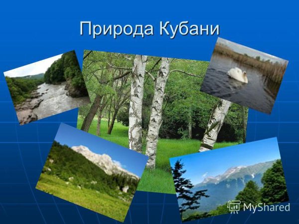 Природа Кубани проект