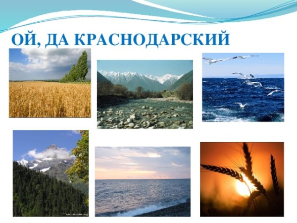 Природа Кубани проект