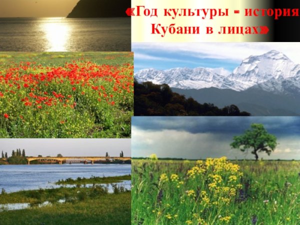 Мой край Краснодарский край