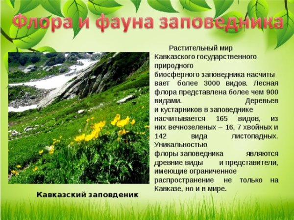 Презентация на тему Кубань
