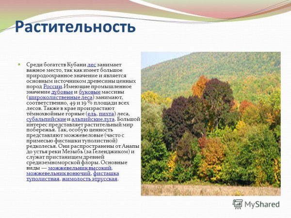 Кубань Жемчужина России я