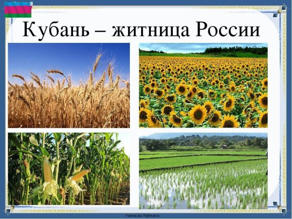 Заповедники и заказники Краснодарского края