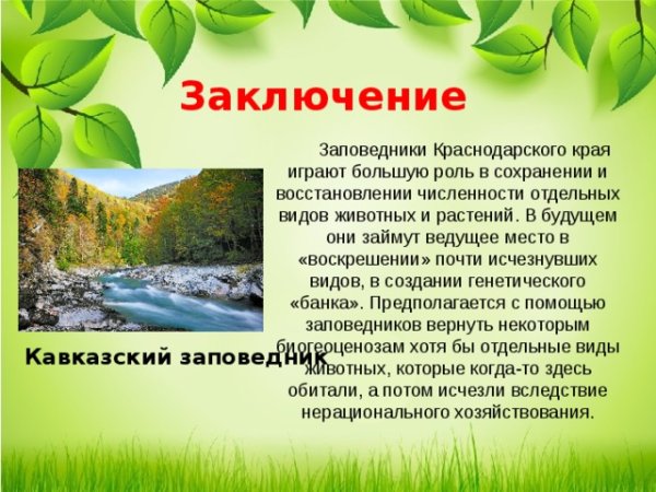 Презентация на тему Кубань