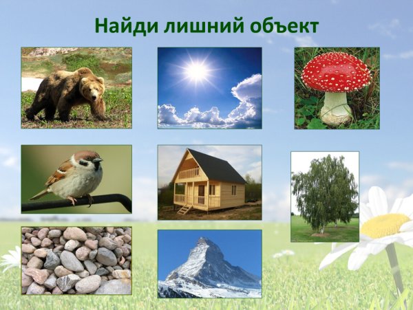 Живое и неживое 1 класс