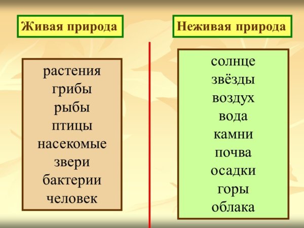 Живые и неживые существа