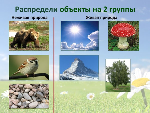 Неживая природа для дошкольников