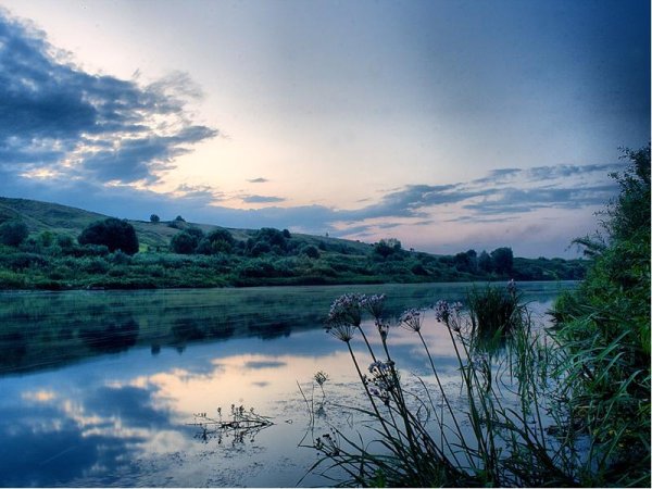 Река Дон природа