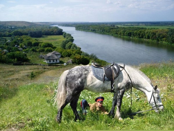 Художник Александр Щебуняев
