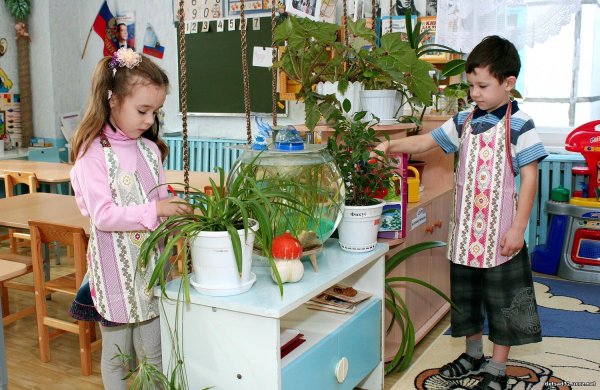Трудовое воспитание дошкольников в детском саду