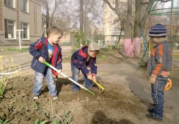 Труд детей в природе в детском саду