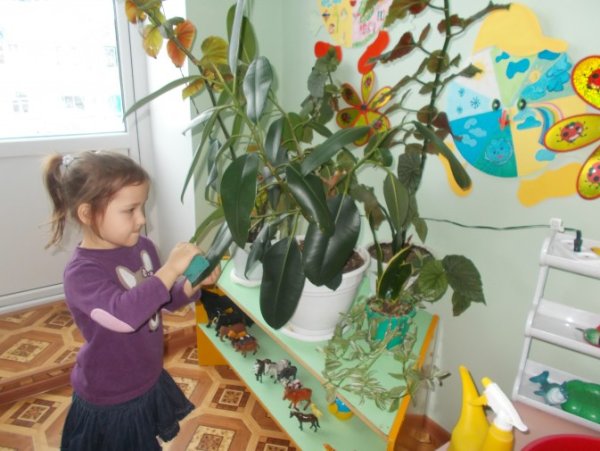 Труд детей в природе