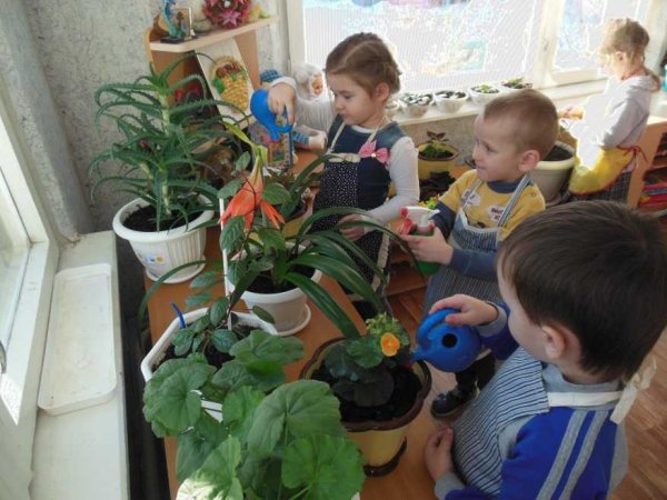 Труд детей в детском саду