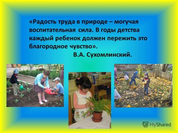 Занятия людей осенью