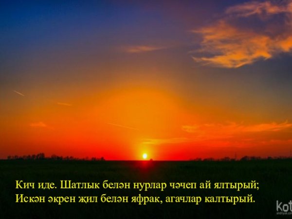 Хаерле Теннер