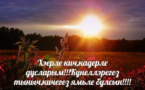 Хэерле Кич прикольные