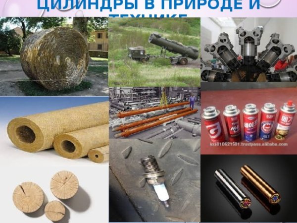 Цилиндрические формы в природе
