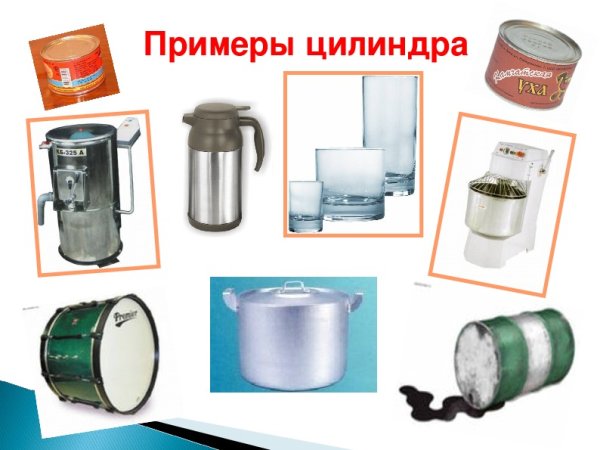 Цилиндр в природе