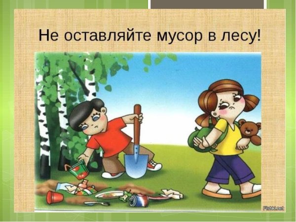 Не мусорить в лесу
