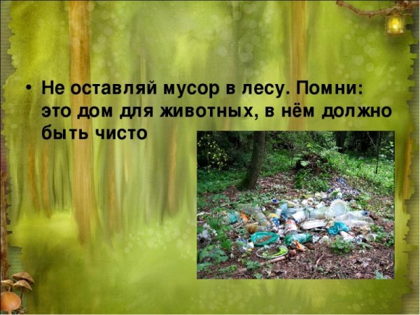 Не мусорить на природе