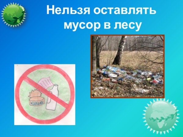 В лесу мусорить запрещено