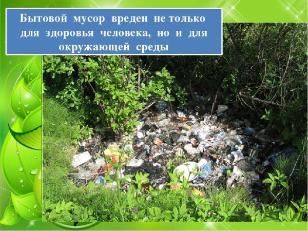 Загрязнение леса бытовыми отходами