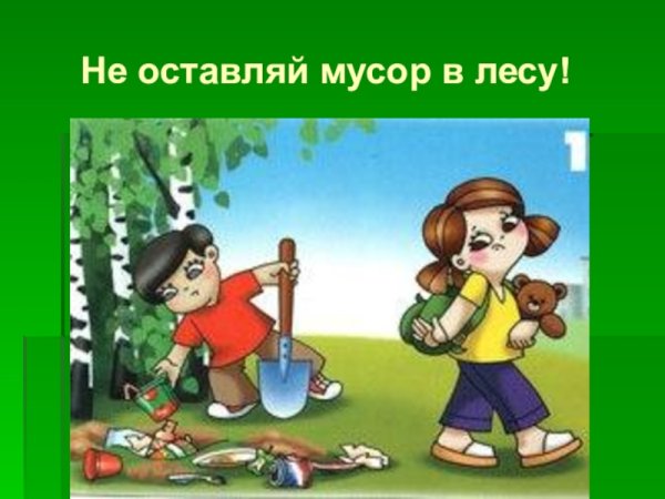 Почему нельзя мусорить в лесу для детей