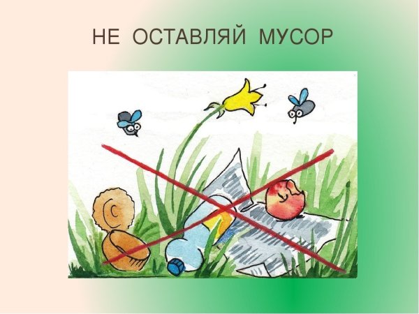 Не оставлять мусор в лесу