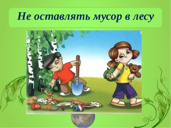 Не бросайте мусор в лесу