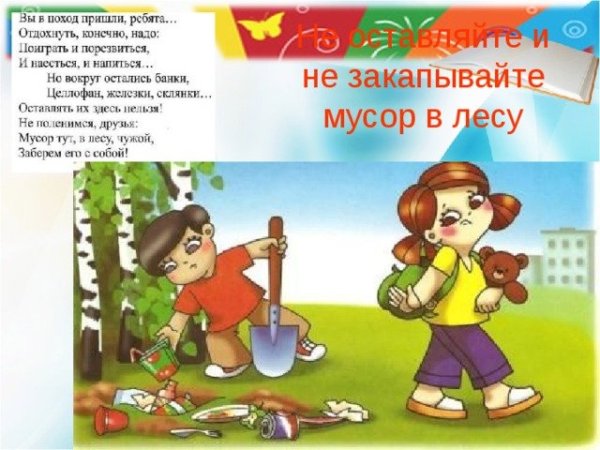 Не мусорить в лесу