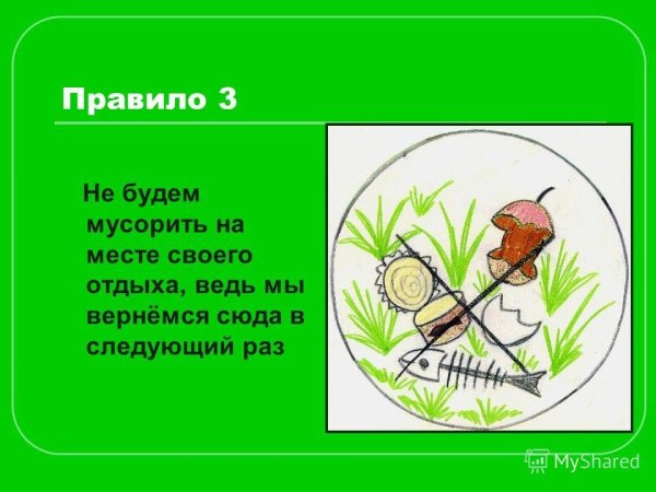 Рисунок на тему не мусорить