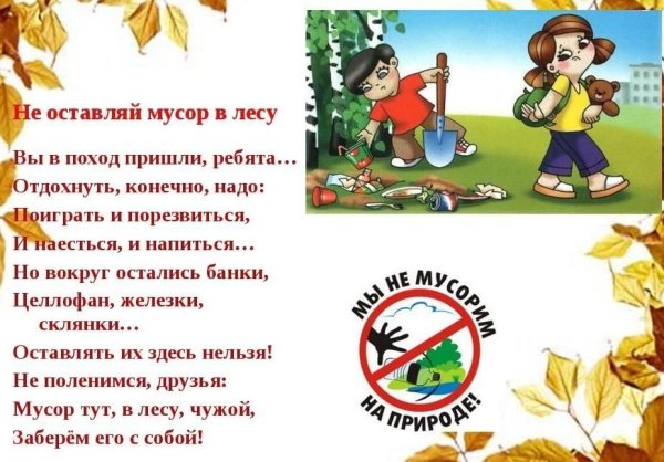Знак не сорить в лесу