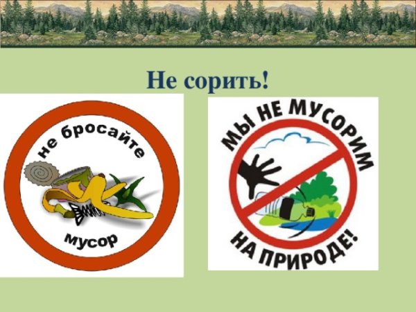 Знак нельзя мусорить