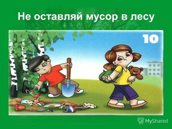 Мусорить в лесу рисунок